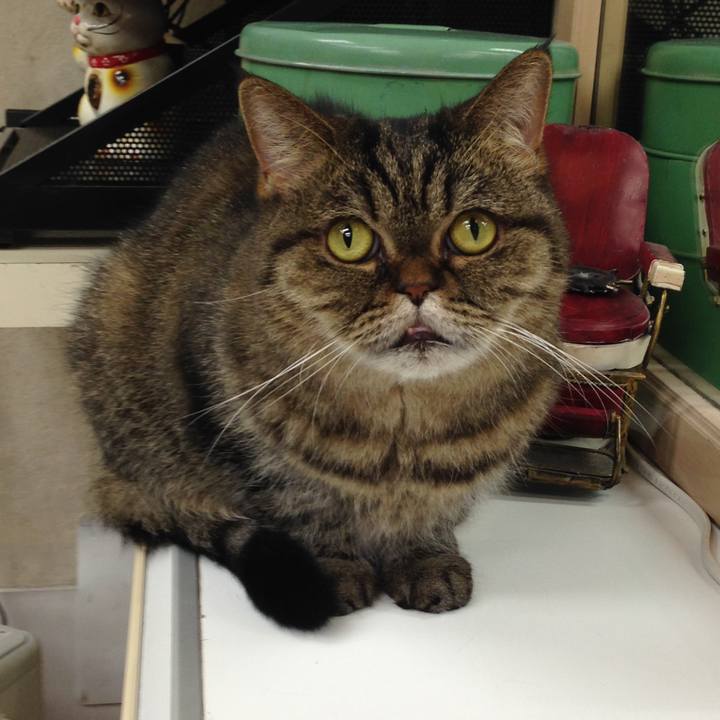 5e77f845 c358 40ba a3ff 3abc888bb0c2