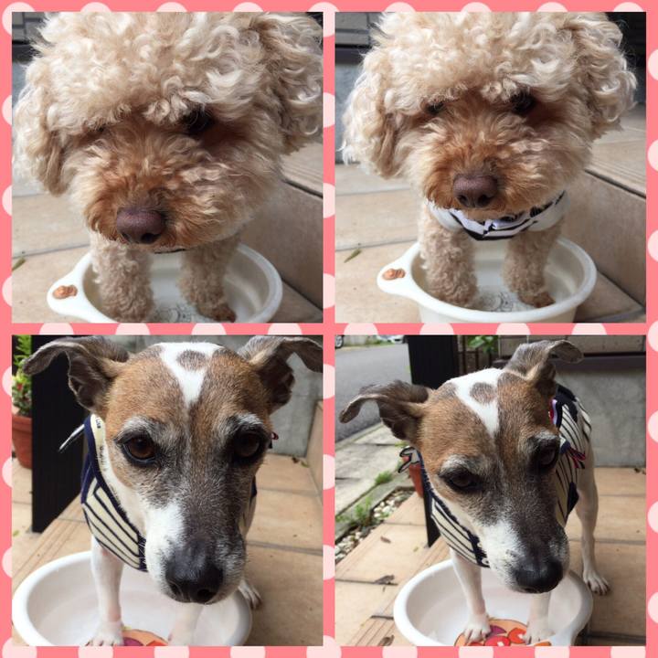 5e781cf1 8caa 49b3 842b 977bd469d38f