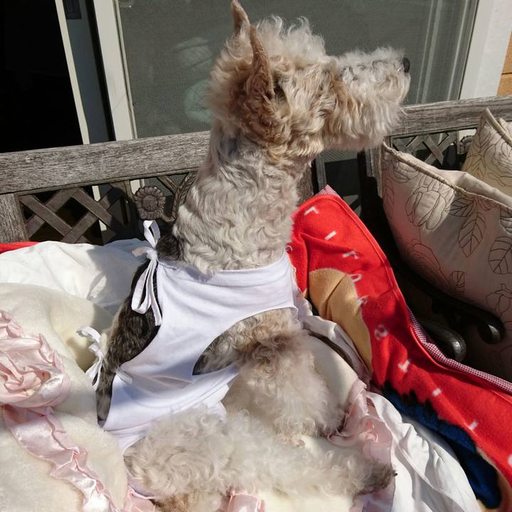 5e794c8a eff4 4d8b b831 d49f79b868d1