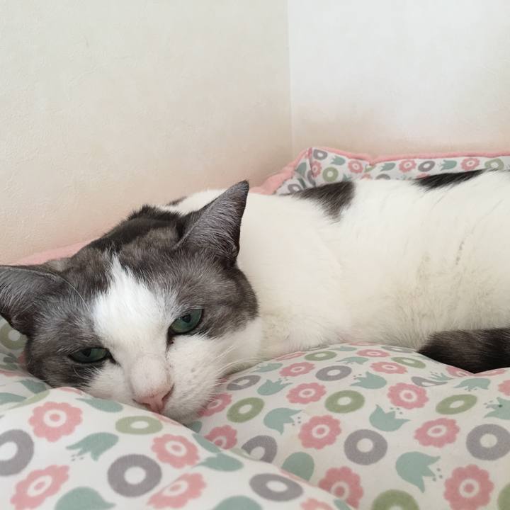 5e796823 3e0a 42f5 a57e 93189a7607ae