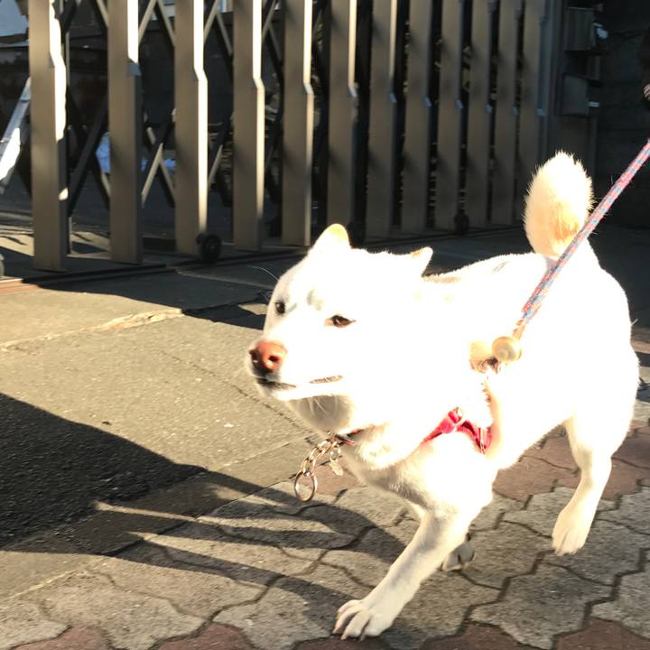 5e79b1f7 e5aa 4325 a19c 9183e512d22e