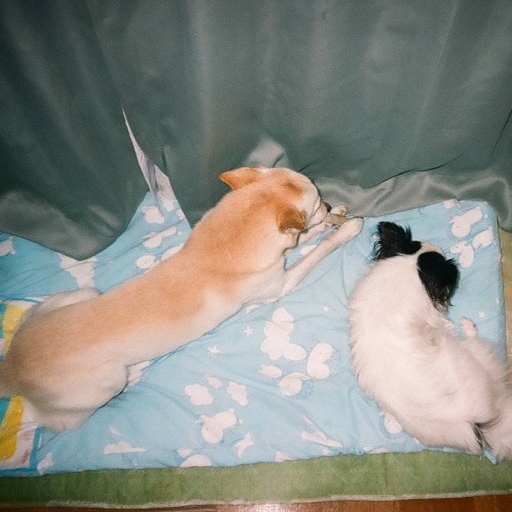 5e79c8e6 8a4d 4d7f aec2 b533cf93c8c4