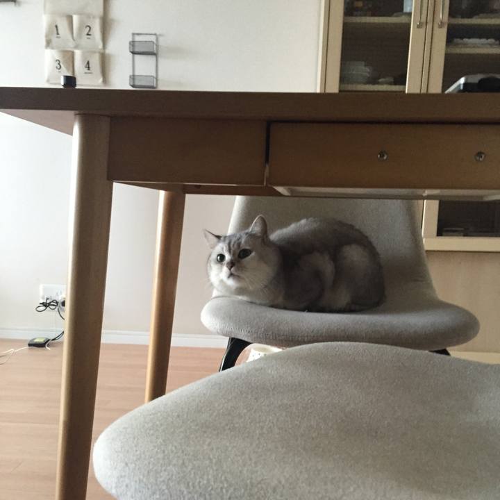 5e79cd50 5911 4db9 b171 d21559193ce4