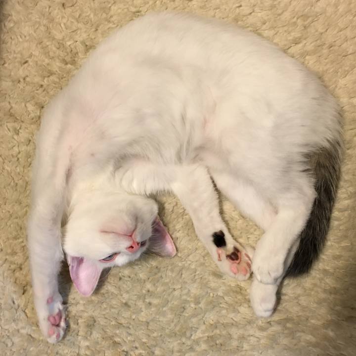 5e7a1ebb 53f5 4b2a 81f9 a8320a42089e