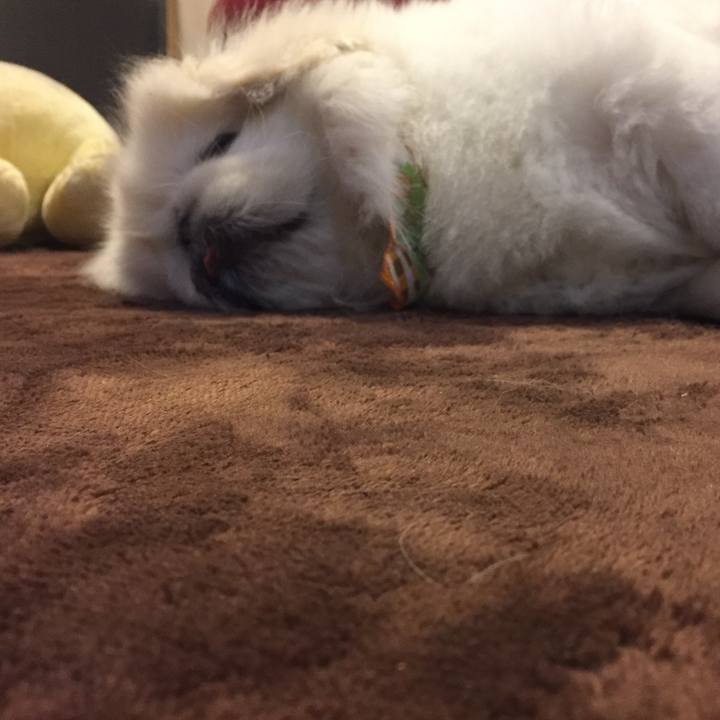 5e7a6a82 fe51 4407 8d8f 50c360ad825d