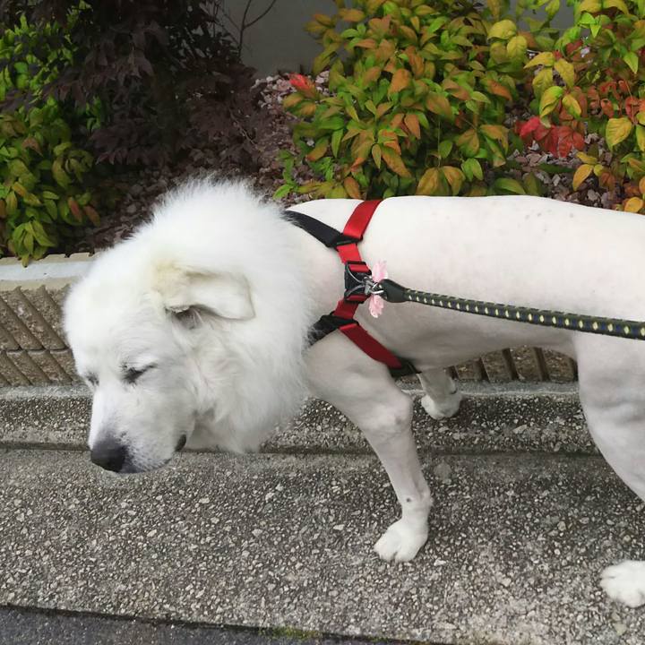 5e7aa2c1 d40f 4354 8c58 4529a4957eb0