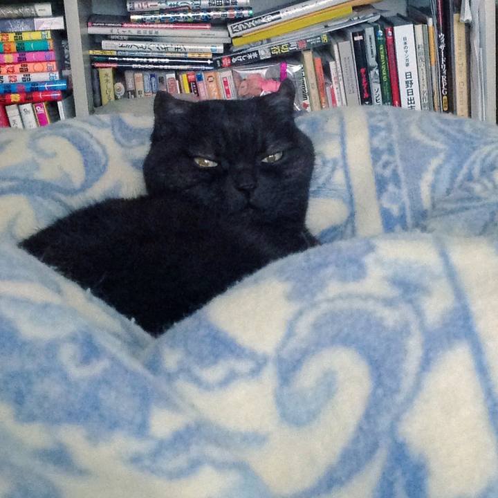 5e7adeeb 5ad6 4c1f 9535 9ef31127593f