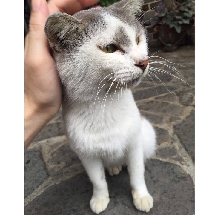 5e7bd074 47d2 490e 828e e14365f87c88