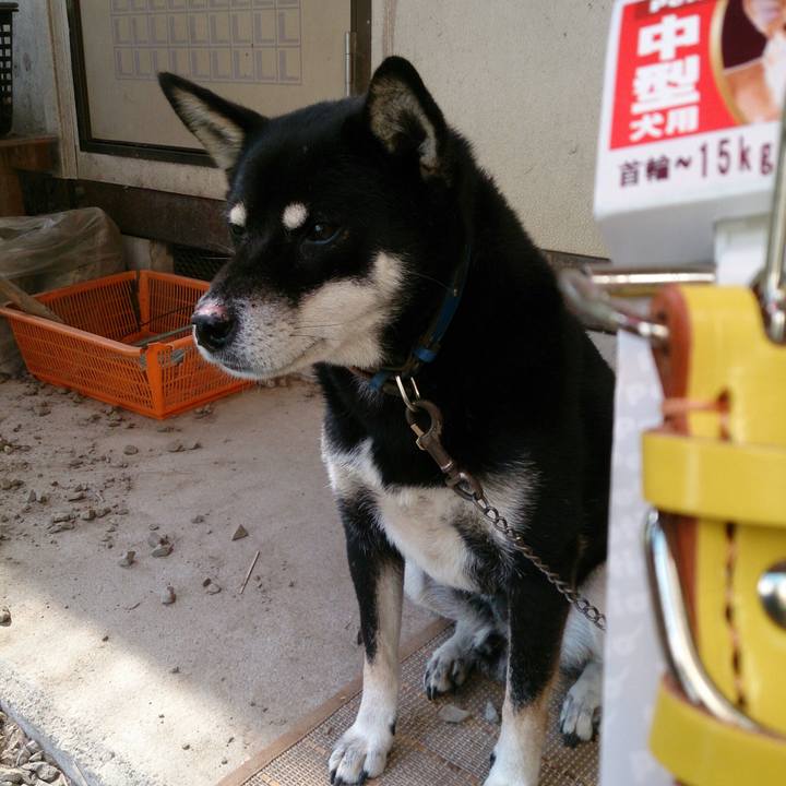 5e7bea97 1af4 4a8e af59 aa6d38a0eec8