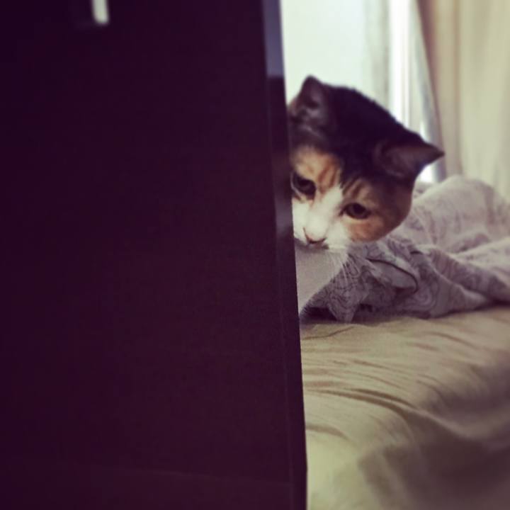 5e7c3f64 f79d 434b aa35 4904d2caa1ef