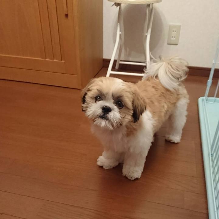 5e7c7779 5947 48d3 a99d e3a5027860b7