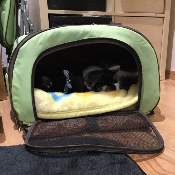 5e7cbc4c 3762 4f56 9727 0ab6ecdd02b7