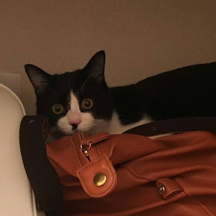 5e7cdebe e417 4936 a60e 277136c48b03