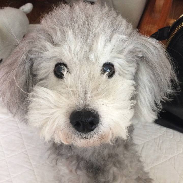 5e7d2b6e e705 4ca6 8fac e8313faac63a