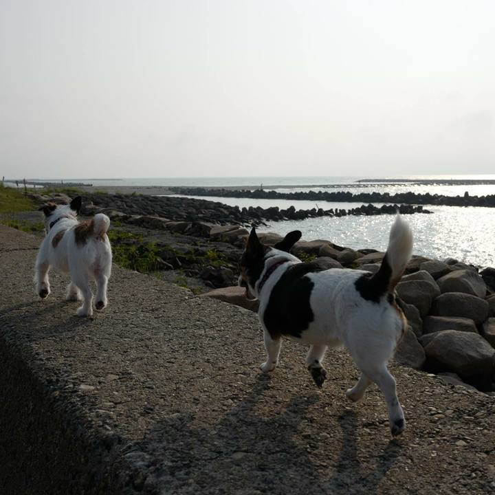 5e7d2f13 76f4 4af0 8248 79a6220f51e0