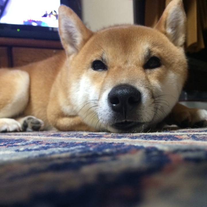 5e7d8beb c6b0 4e25 8693 2e66480770cb