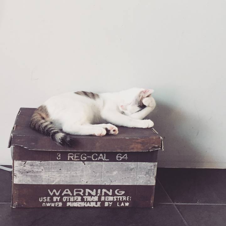 5e7d8d86 1ff3 47de 96a8 c2230fae6033