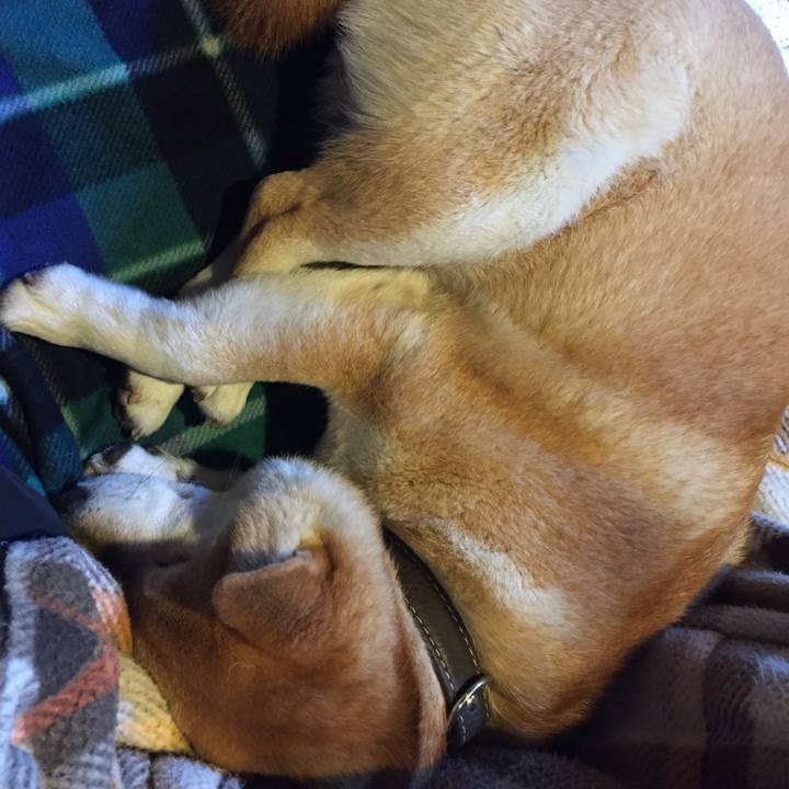 5e7dbbae 44df 4e16 8832 1d910d41237c