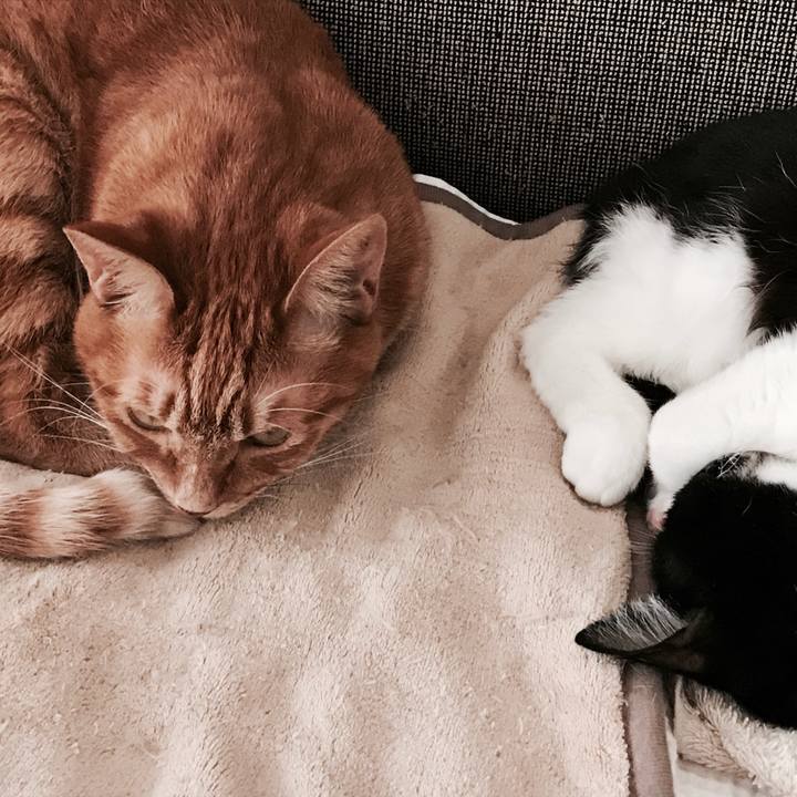 5e7e382d 3480 4382 8d5f 29678d32aec9