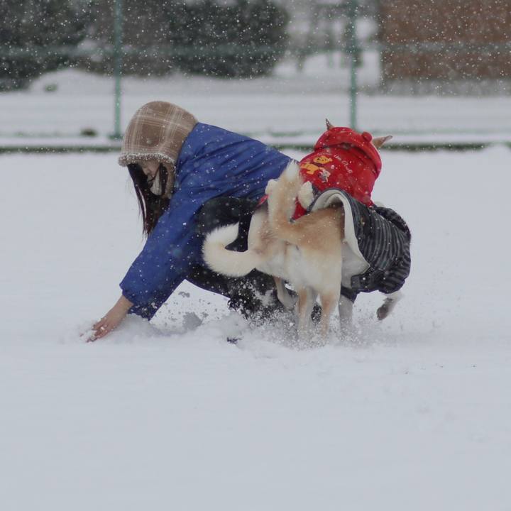 5e7f05c6 9bcb 4842 97c0 6d7893542aeb