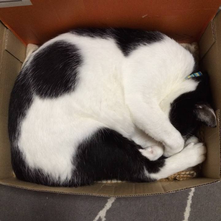 5e7fc4d3 2c76 427a 9476 d3a98772bc75