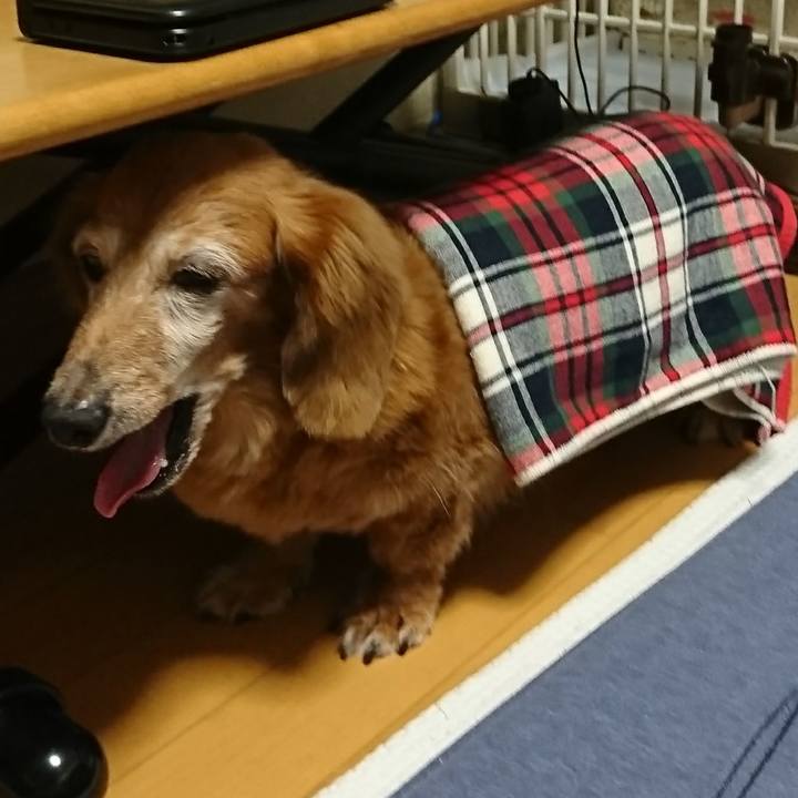 5e801120 ca85 4ce2 85dd 4ad90094803c