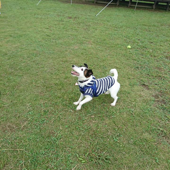 5e80db32 c90b 42e5 aa22 464c43eae3fd