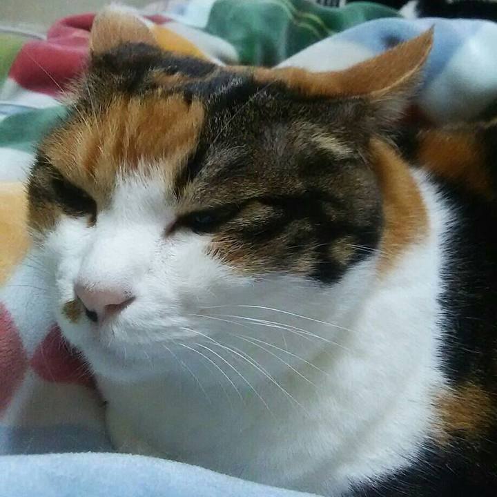 5e810cc0 7f00 4bfc b199 3c0e8d26fbaa