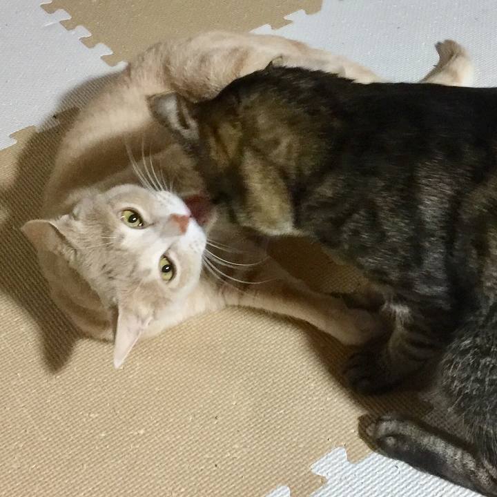 5e813d3d f7dd 4ff3 85f5 387bad8a62f0