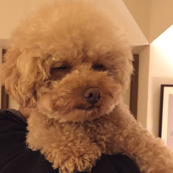 5e814d59 6e79 428a 8135 d6258e901b8c