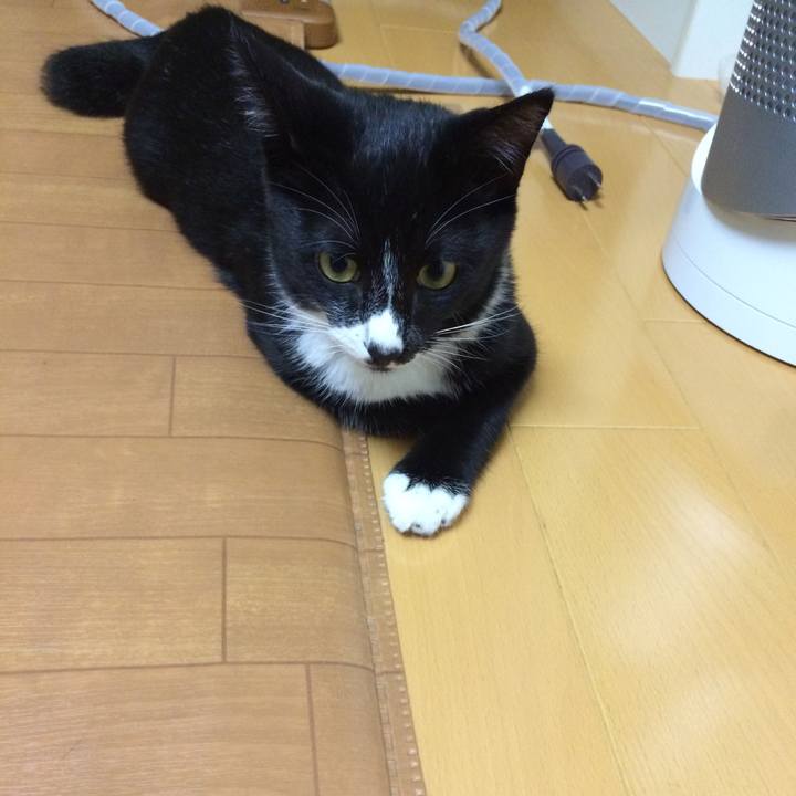 5e824a98 5d39 48f4 a14e 2afcff99dcab