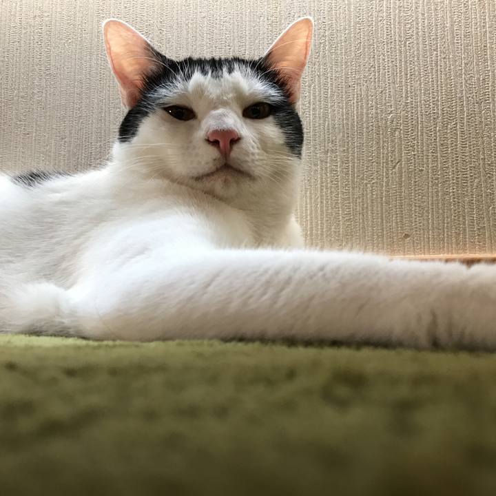 5e826890 c769 446a ae2b 39111ad25676