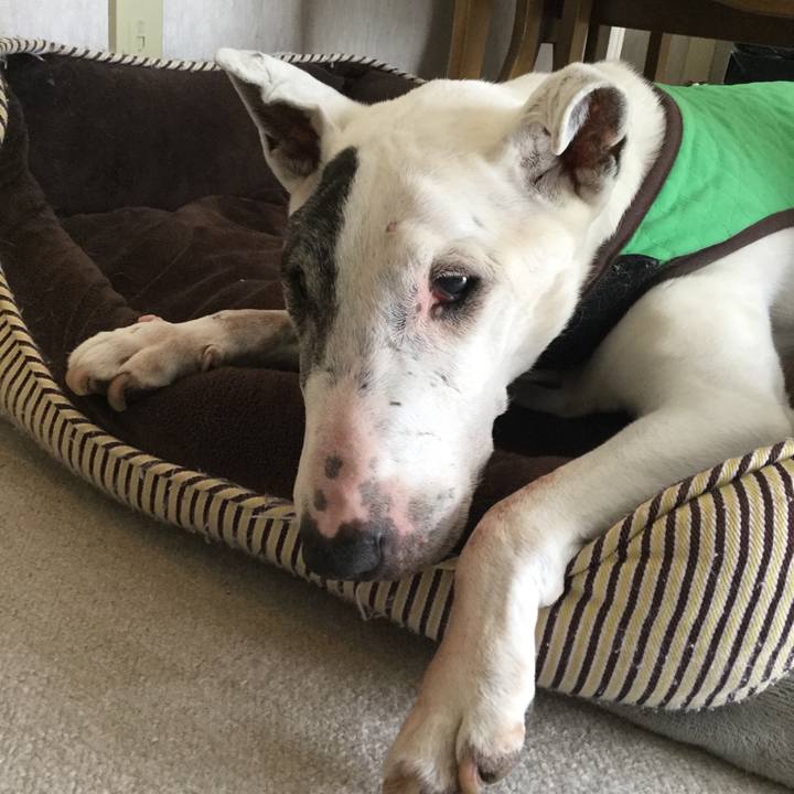 5e83011a 1037 4c12 8327 6be7403ce04b