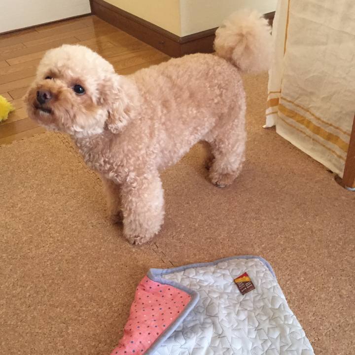 5e8312df 7140 4840 9348 d8956497ba35