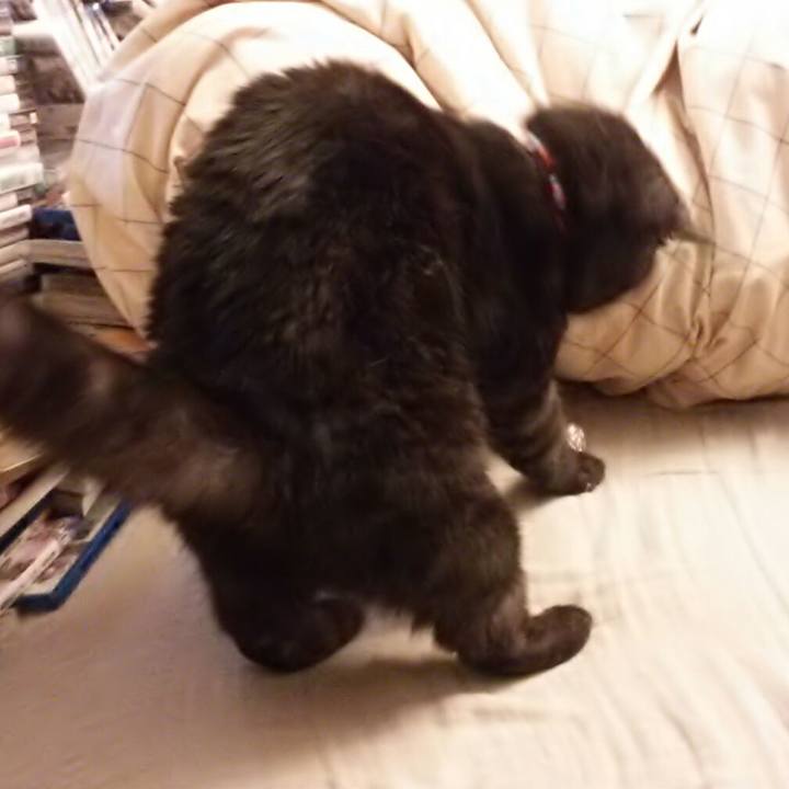 5e831435 1215 4c20 93b1 d437d69d5f8d