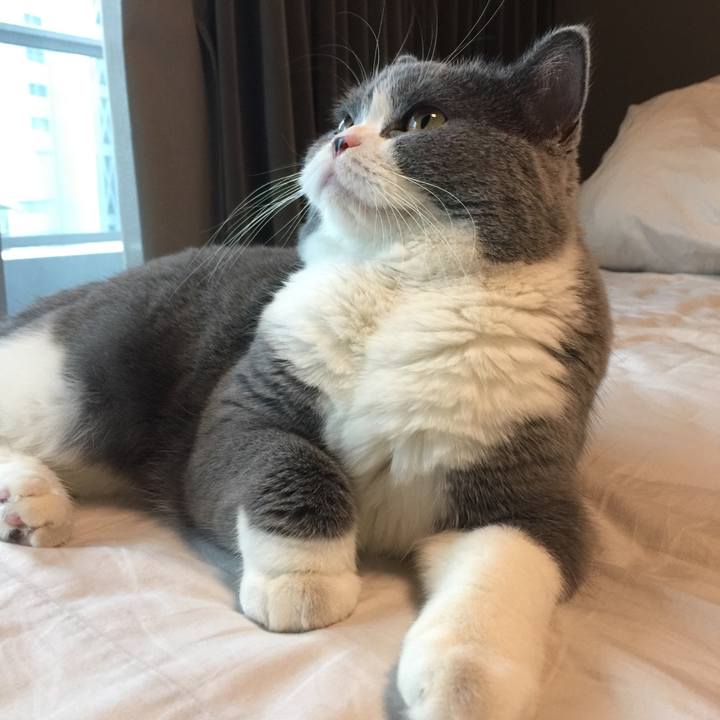 5e83835a d8ac 4407 995d 70fe84f30fcd