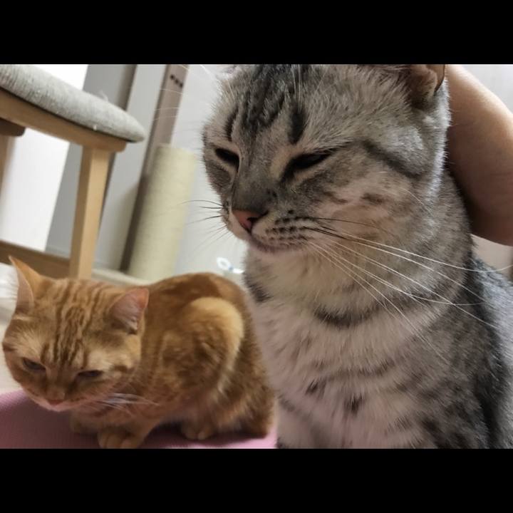 5e83b146 093f 449d 98a2 f811eeeae6f5