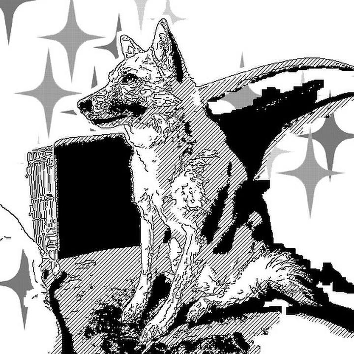 5e83b5e3 23ad 4492 9776 3806a3d4c1a2