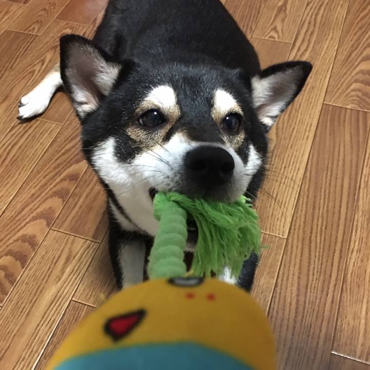 5e845717 e1fa 499d 8cc4 01e1db61ada6