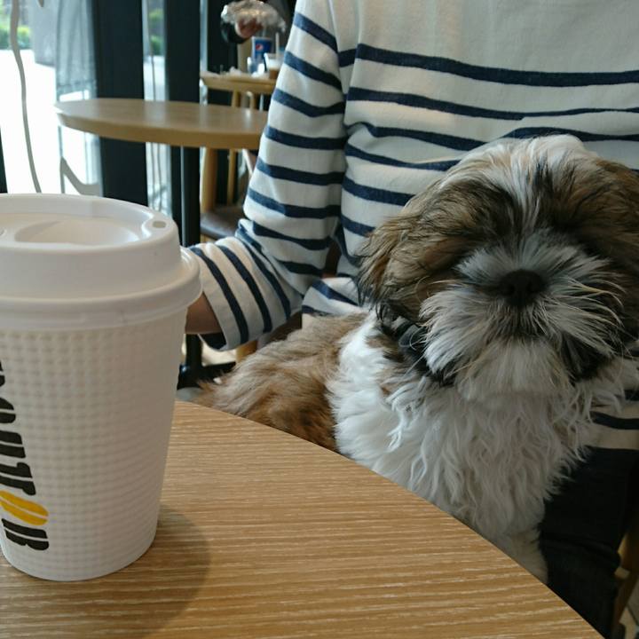 5e84931e 96ea 4c85 9576 364d1b5f3270