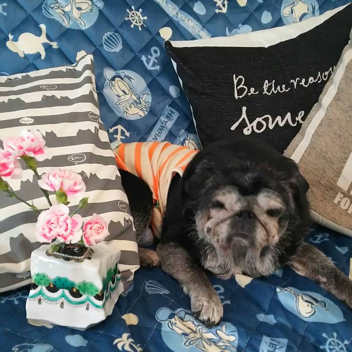 5e84ab99 b81c 467c b03d 9c54aa942a14