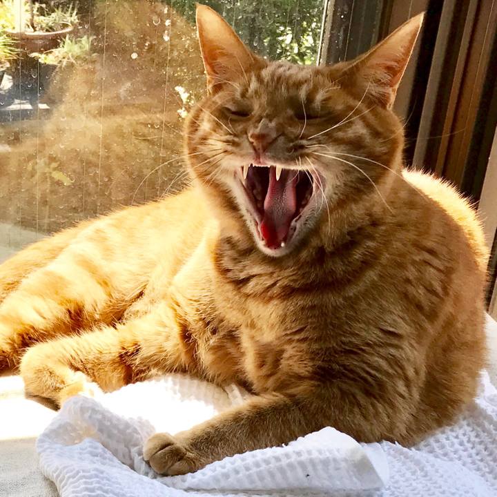 5e85bf42 c2b0 4a30 92e2 f0bb2fa38ef9