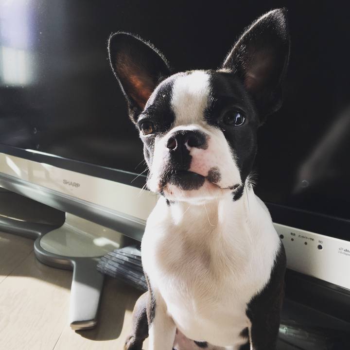 5e85d6a2 4f1b 4b5f b45b 2caf2c9fe650