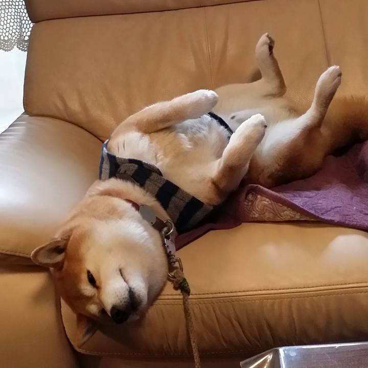 5e864a7e a0d2 4233 8e48 b7cd39bf7dac