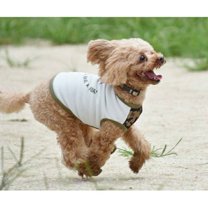 5e865ccf cd44 4c62 8887 6075bde4f7fd