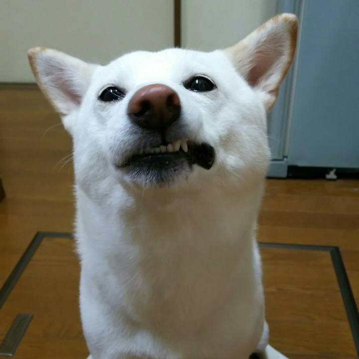 5e869141 46fe 4b3b 83cd 1bcc41b1084a