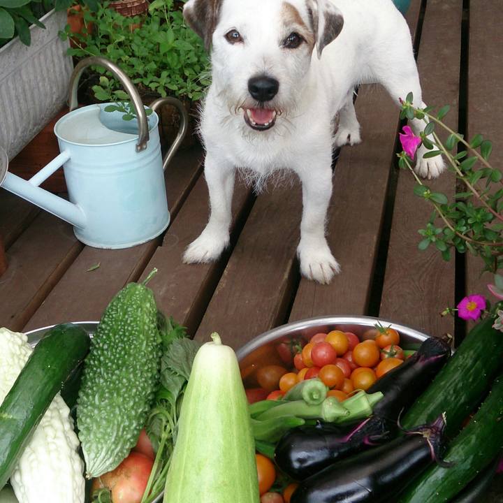 5e86bd6c 5349 4732 b488 f31b5e1c533e