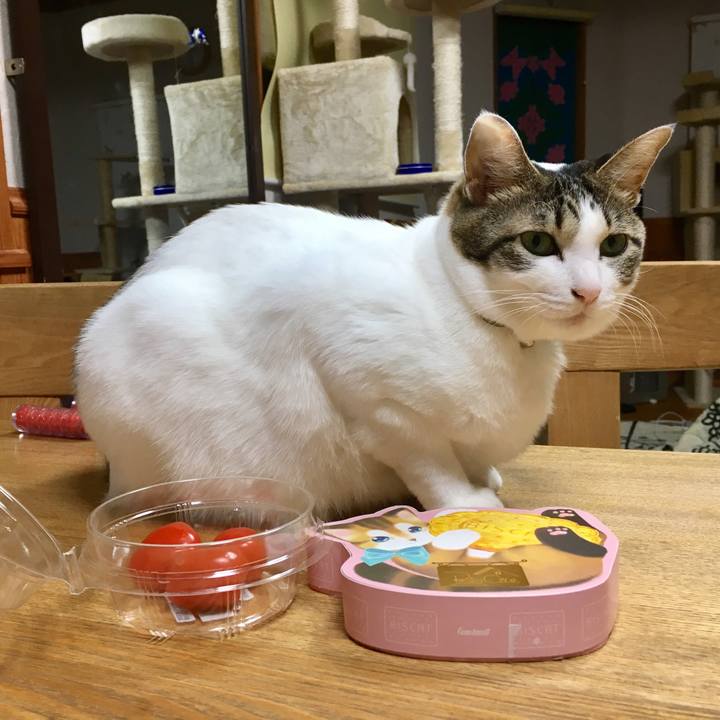 5e86c0b4 3b81 46af 938d 003e40e99569