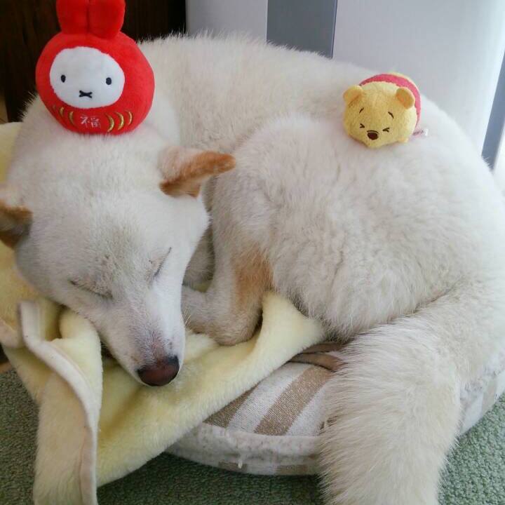 5e86d1a5 e994 48ba a9fd f2d9d1846144