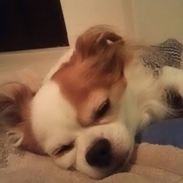 5e86dbc6 c600 4dfa 94aa d9665fbff1fc